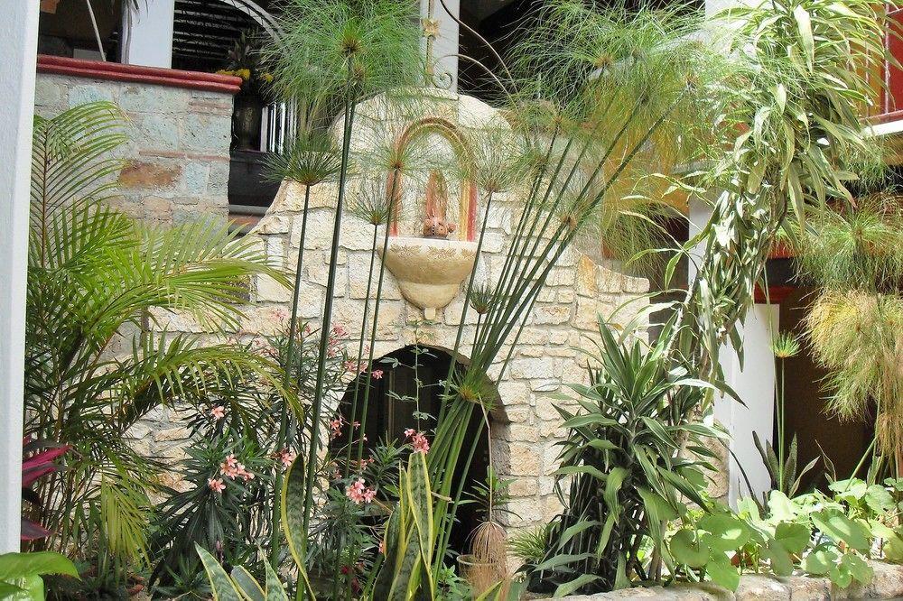 Casa Del Sotano Hotel Oaxaca Luaran gambar